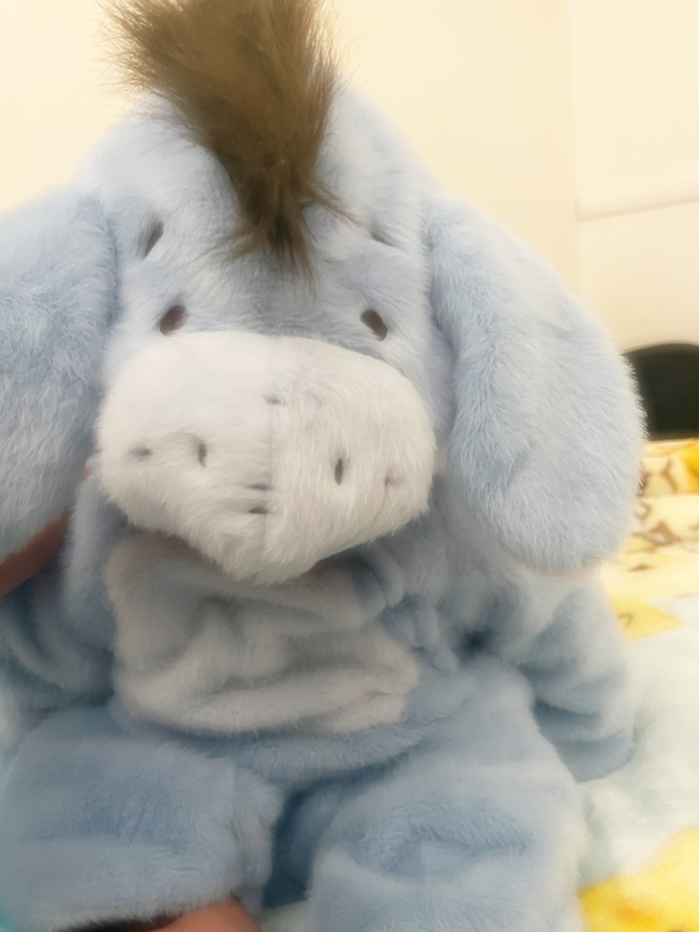 pottery barn kids eeyore costume